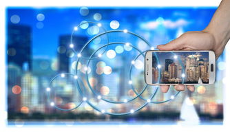 开云官网APP下载-中国篮球职业俱乐部财务风险管理策略研究，篮球俱乐部运营情况