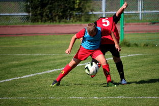 开云真人娱乐官网-中国篮球职业联赛俱乐部运营模式创新及管理经验分享，篮球俱乐部运营与管理