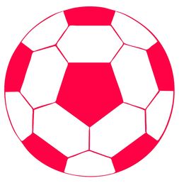 开云网页-体育类短视频内容对青少年运动行为的引导作用研究，体育短视频定义