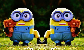 开云电竞入口-全国青少年趣味运动会趣味盎然，欢乐无限，2020年趣味运动会